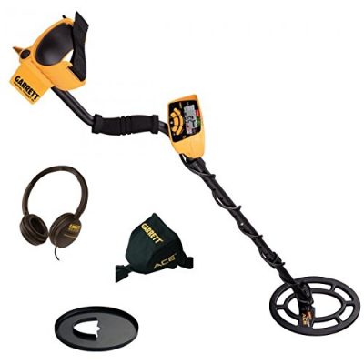Garrett ACE 300i